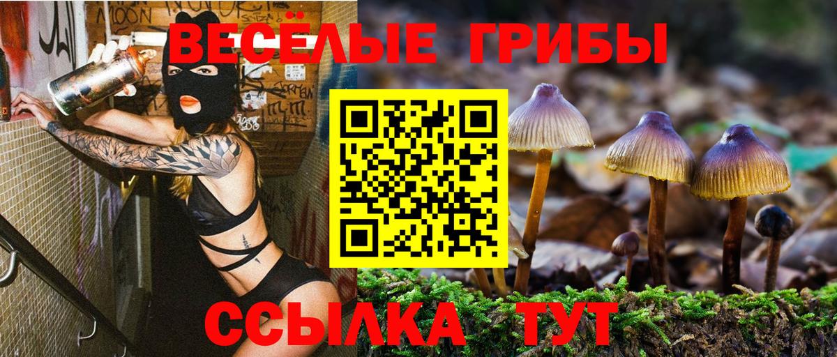 Галлюциногенные грибы MAGIC MUSHROOMS  Вход с VPN  Псилоцибиновые грибы мицелий  Воронеж 