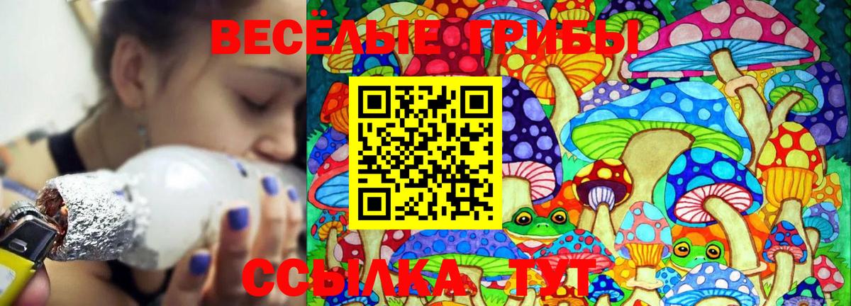 Псилоцибиновые грибы Psilocybine cubensis Воронеж